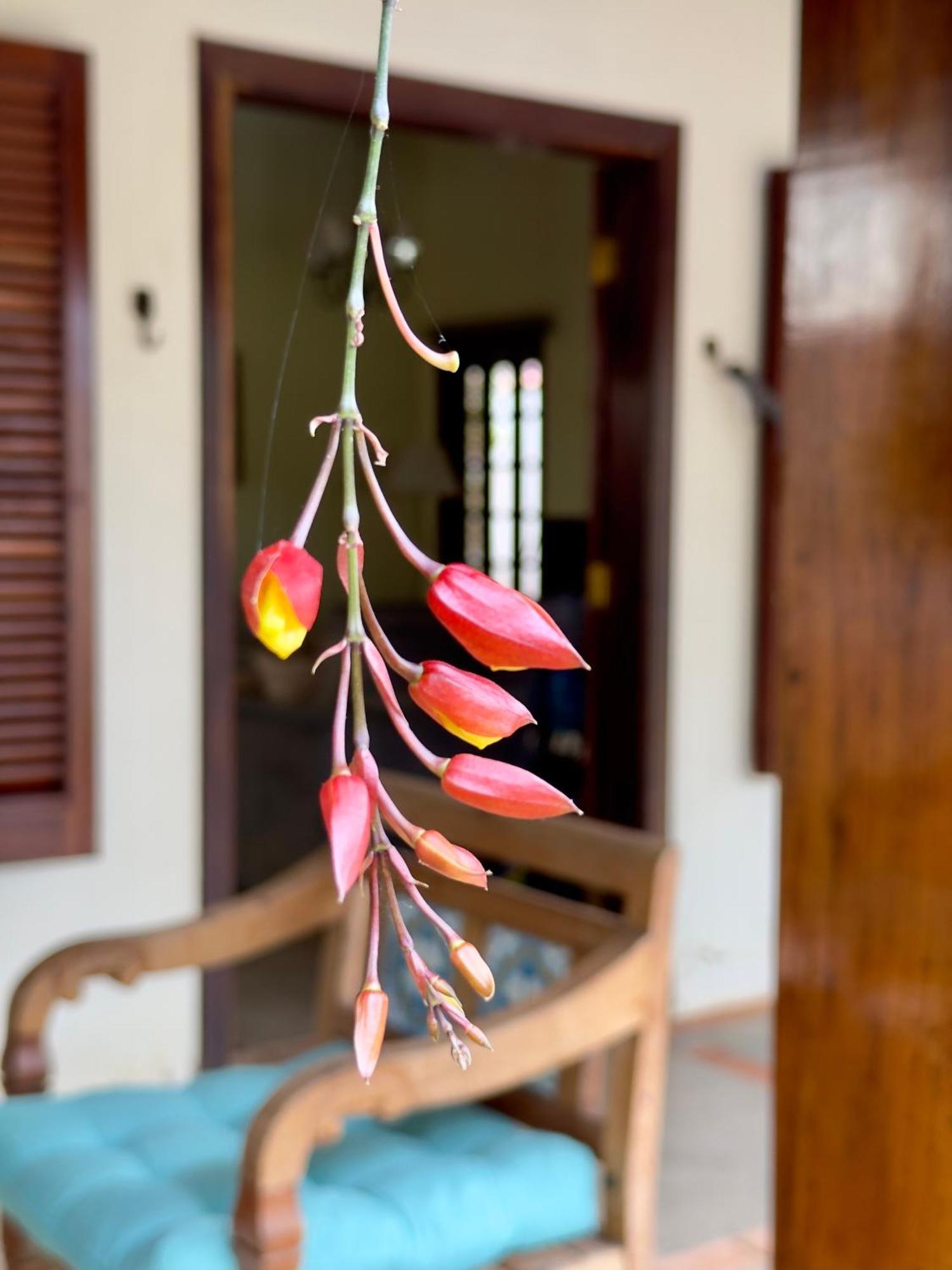 Casa de férias Casa Ubatuba Vivamar *